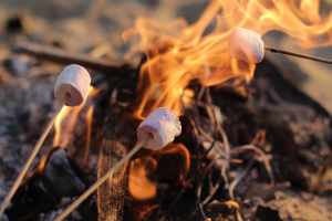 toasting marshmallows at wild atlantic camp in donegal